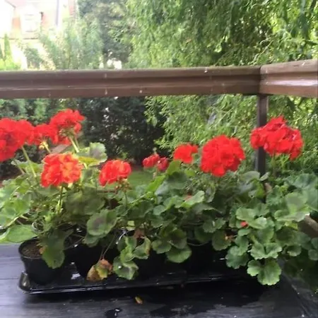 Ostoja Appartement
